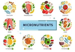 what makes up most of your body macronutrient wise